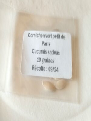 Sachet de 10 graines de cornichons vert "petit de Paris" - Récolte 2024