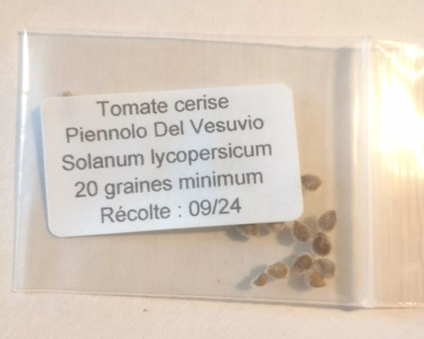 Sachet de graines Tomate Piennolo del Vesuvio