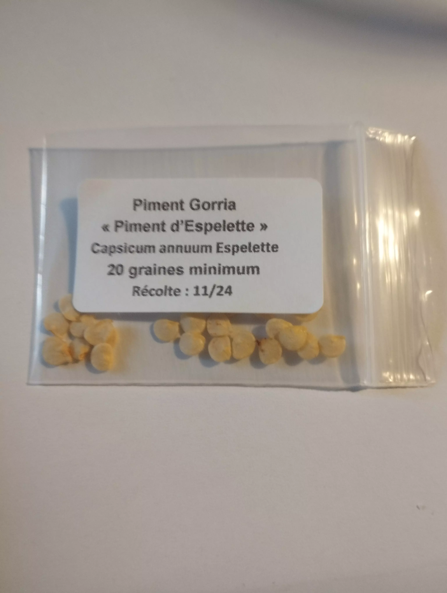 Sachet graines piment gorria